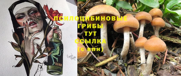 а пвп мука Коряжма