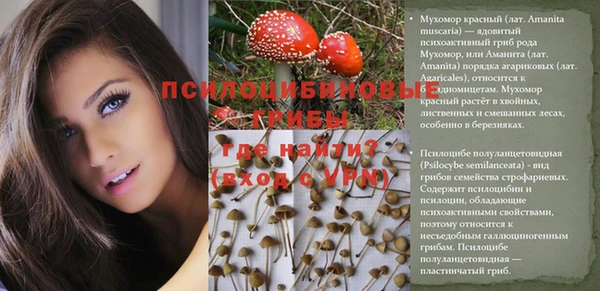 Альфа ПВП Кулебаки