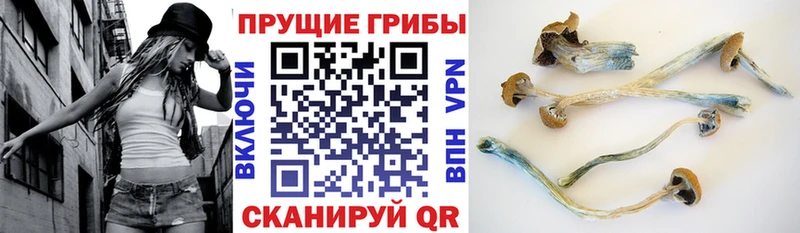 Галлюциногенные грибы прущие грибы  mega вход  Краснокамск 